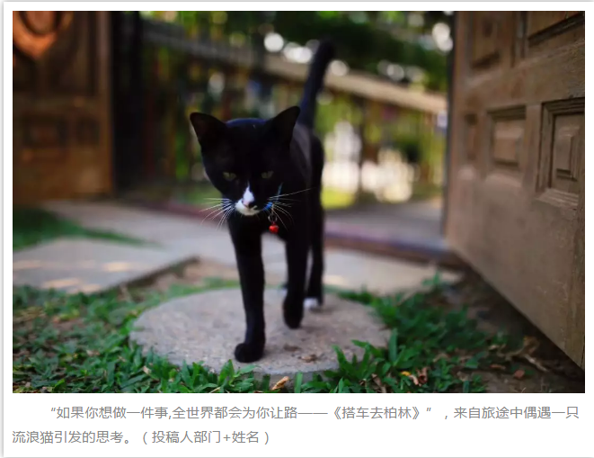南宫ng28相信品牌力量·(中国)官方网站